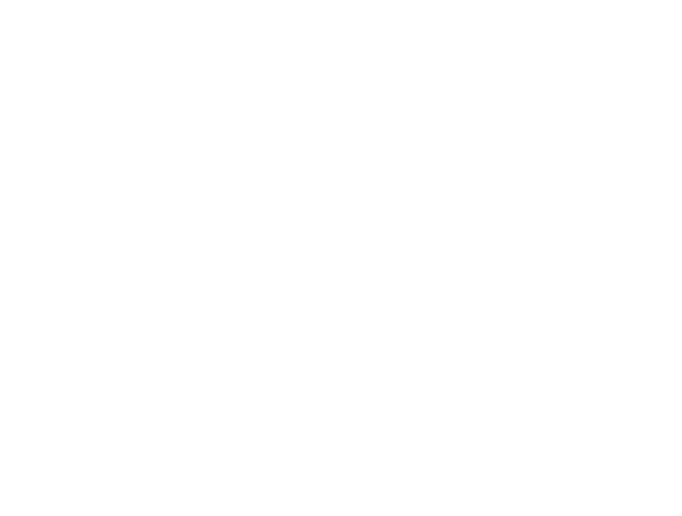 Primal Customs